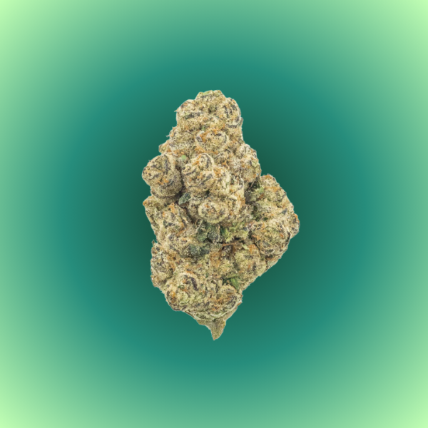 Sour OG balanced hybrid cannabis flower available in Arlington VA and Washington DC
