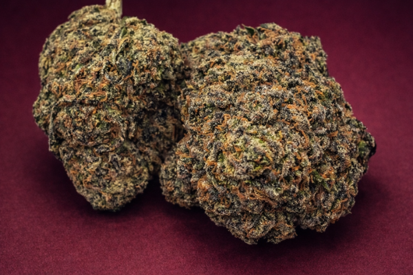 GC-flower-kingkong-dispensary-DC