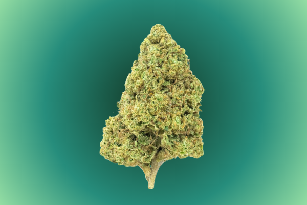 Nimbus Snacks exotic cannabis flower available in Arlington VA and Washington DC