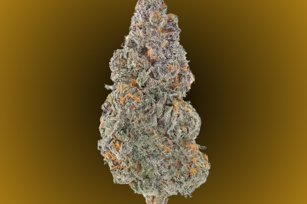 UK Riot balanced hybrid cannabis flower available in Arlington VA and Washington DC