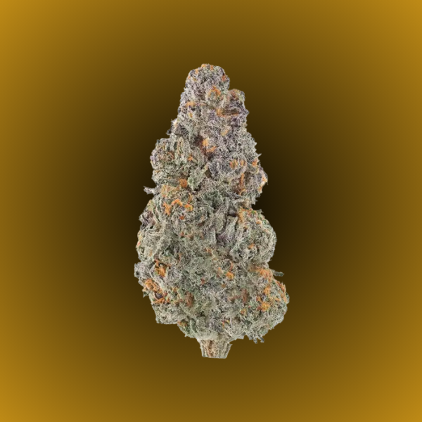 UK Riot balanced hybrid cannabis flower available in Arlington VA and Washington DC