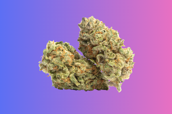 Creamsiclez indica hybrid cannabis flower vanilla citrus strain Georgetown DC King Kong Dispensary