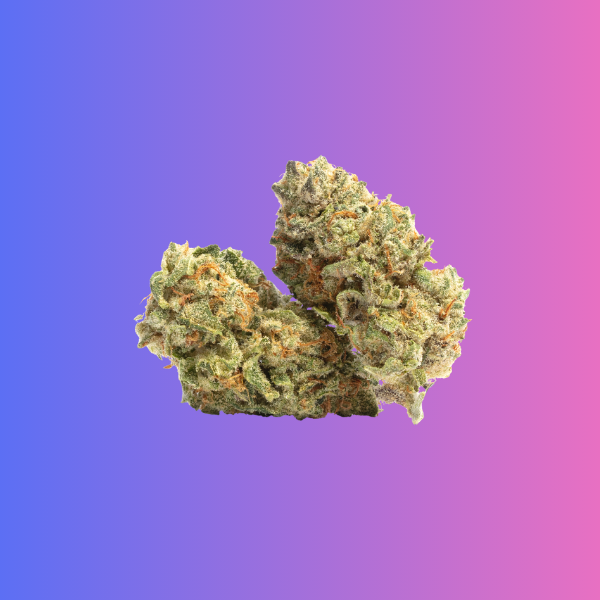 Creamsiclez indica hybrid cannabis flower vanilla citrus strain Georgetown DC King Kong Dispensary