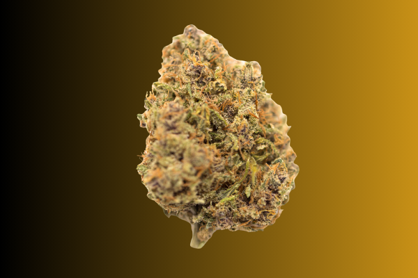 King Louis indica cannabis flower OG kush phenotype Georgetown DC King Kong Dispensary