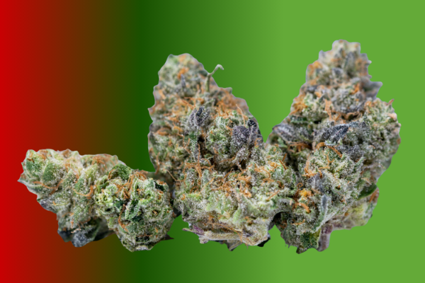 Old Money hybrid cannabis flower premium buds Georgetown DC King Kong Dispensary