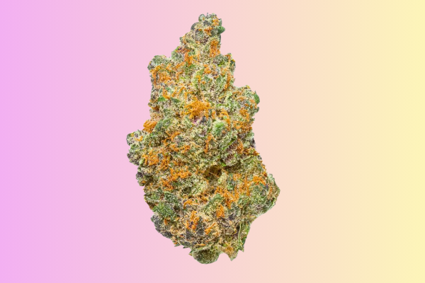 Sour OG hybrid cannabis flower earthy citrus strain Georgetown DC King Kong Dispensary