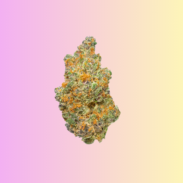 Sour OG hybrid cannabis flower earthy citrus strain Georgetown DC King Kong Dispensary