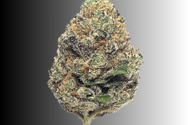 ADL Indica hybrid flower King Kong Dispensary Georgetown Washington DC Arlington VA