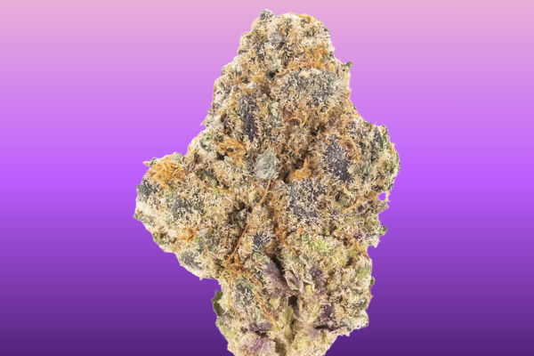 Grape Sherbert top shelf indica hybrid cannabis flower by King Kong Dispensary Washington DC Georgetown