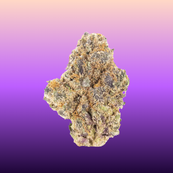 Grape Sherbert top shelf indica hybrid cannabis flower by King Kong Dispensary Washington DC Georgetown