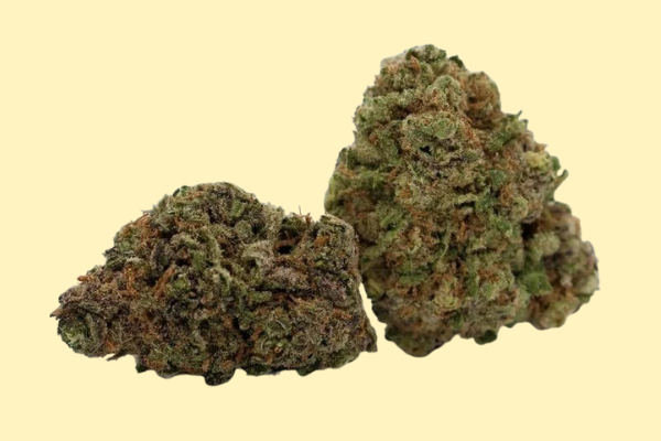 Grape Sherbet Indica Hybrid flower King Kong Dispensary Georgetown Washington DC Arlington VA