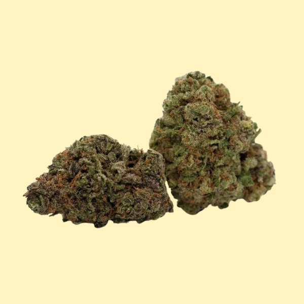 Grape Sherbet Indica Hybrid flower King Kong Dispensary Georgetown Washington DC Arlington VA