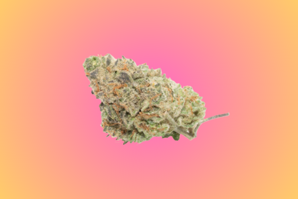 Jelly Zonut hybrid cannabis flower by King Kong Dispensary in Washington DC Georgetown