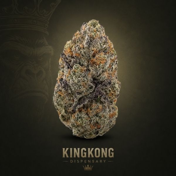 Candy 33 hybrid flower King Kong Dispensary Georgetown Washington DC Arlington VA