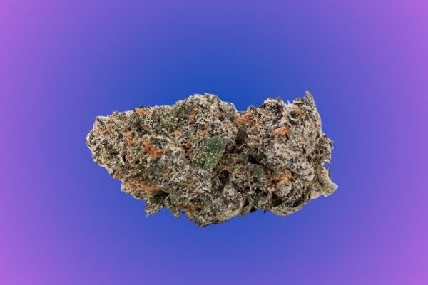 Grape Runtz hybrid flower by King Kong Dispensary in Georgetown Washington DC Arlington VA