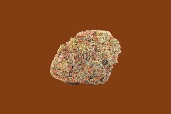 Orange Julius sativa hybrid flower by King Kong Dispensary in Georgetown Washington DC Arlington VA