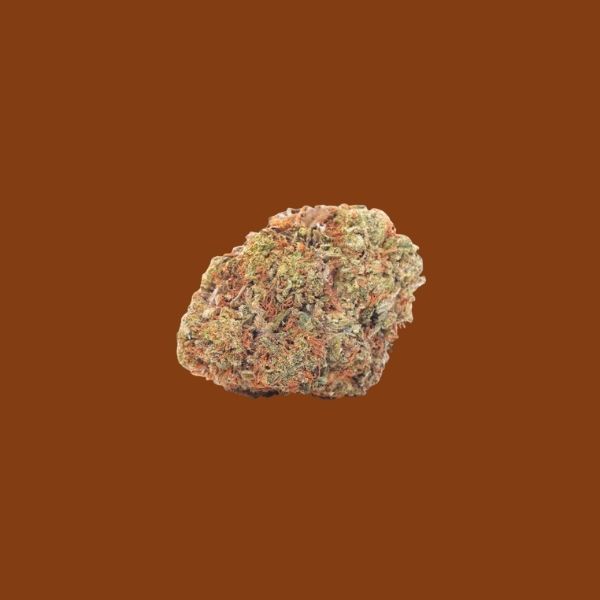 Orange Julius sativa hybrid flower by King Kong Dispensary in Georgetown Washington DC Arlington VA