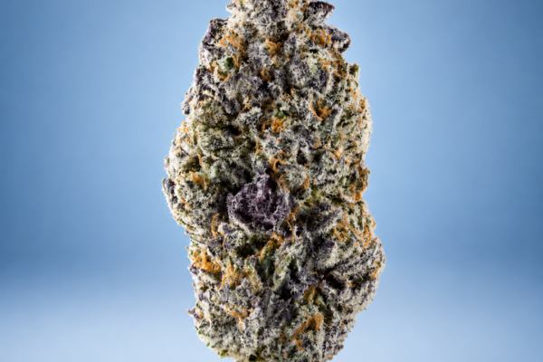 Hash Burger Indica Dominant Hybrid Flower King Kong Dispensary Georgetown DC