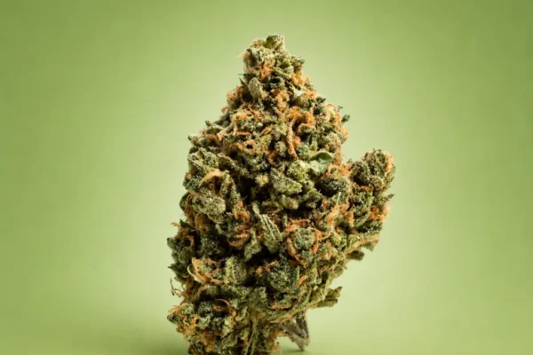 Grape Lime indica-dominant hybrid flower available at King Kong Dispensary Georgetown DC