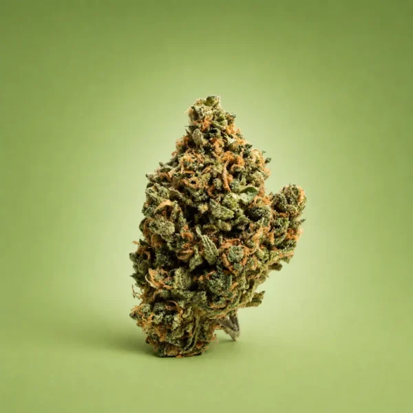 Grape Lime indica-dominant hybrid flower available at King Kong Dispensary Georgetown DC