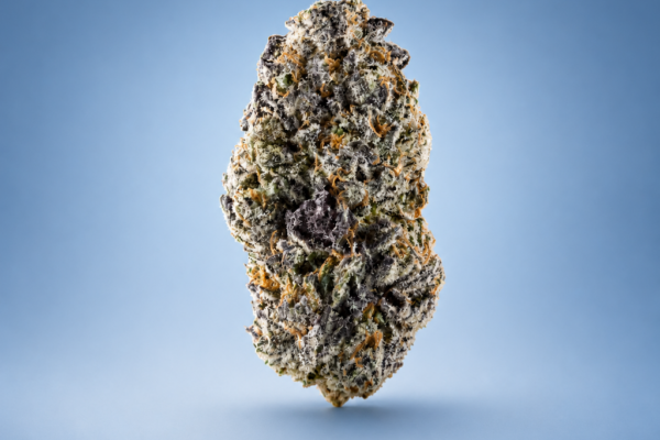 Hash Burger Indica Dominant Hybrid Flower King Kong Dispensary Georgetown DC