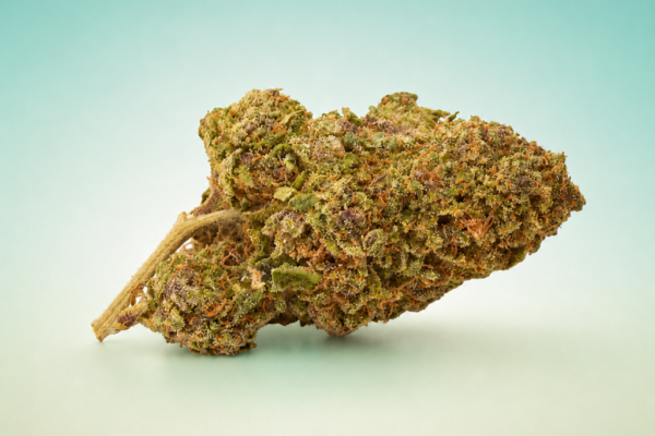Modified Mints Indica Hybrid Flower King Kong Dispensary Georgetown DC