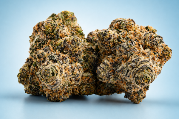 Purple Churro Hybrid Flower Buds at King Kong Dispensary Georgetown DC