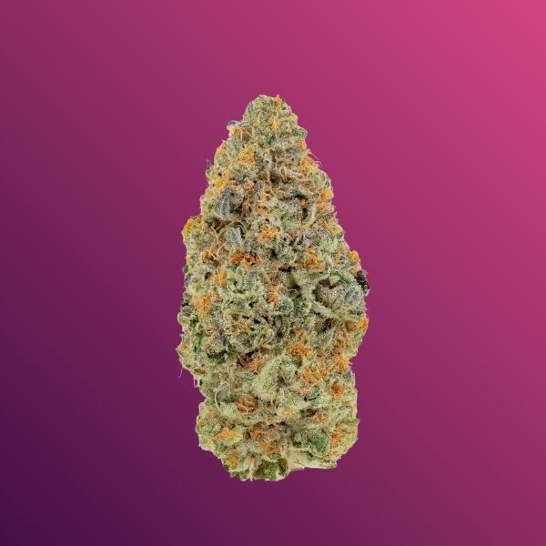 tropicana-cherry-flower-king-kong-dispensary-georgetown-dc Tropicana Cherry sativa dominant hybrid flower 60/40 with sweet citrus cherry flavor and uplifting energetic effects at King Kong Dispensary Georgetown Washington DC Arlington VA