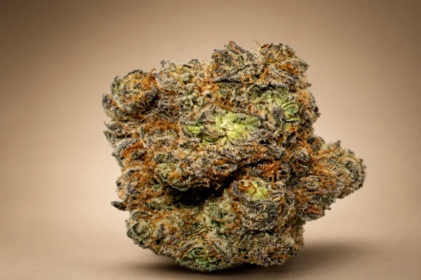 Alaskan Ice strain flower with green buds, orange pistils and frosty trichomes