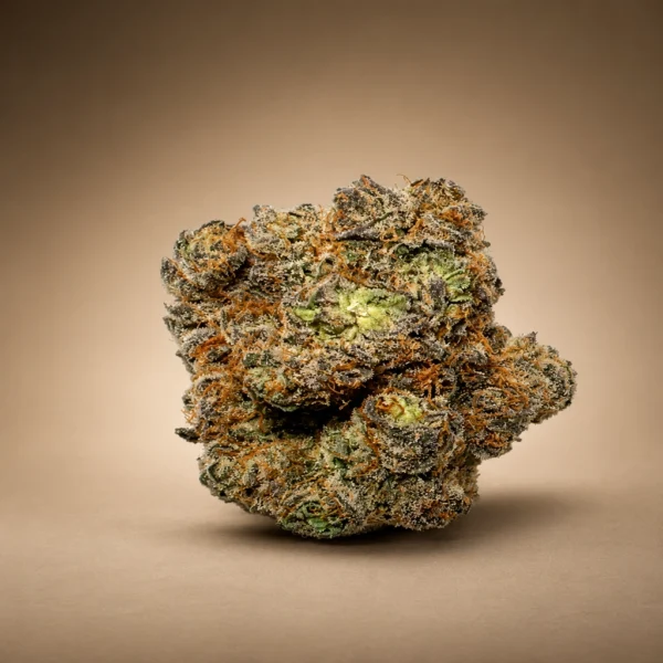 Alaskan Ice strain flower with green buds, orange pistils and frosty trichomes