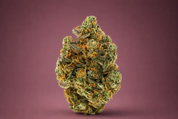 Dirty Girl Runtz flower Sativa/Hybrid cannabis