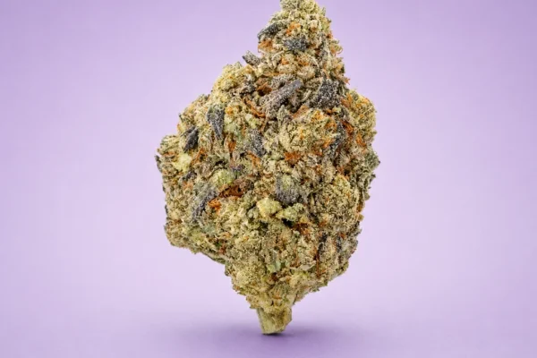 Grape Gelato indica hybrid flower available at King Kong Dispensary Georgetown DC