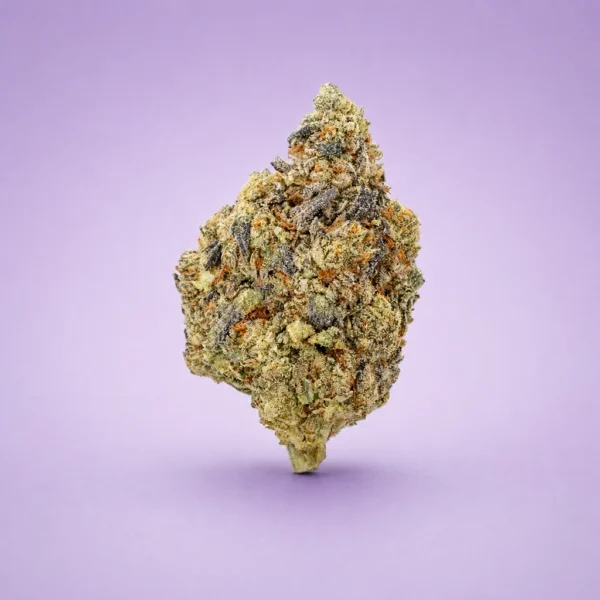 Grape Gelato indica hybrid flower available at King Kong Dispensary Georgetown DC