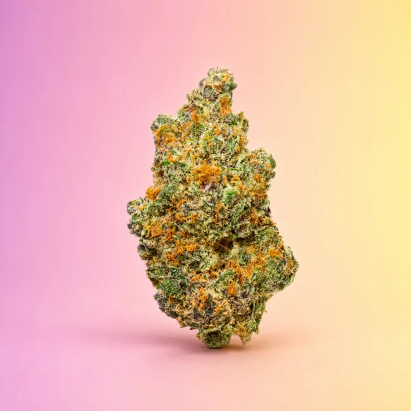 Sour OG strain flower with dense green buds, orange pistils and frosty trichomes